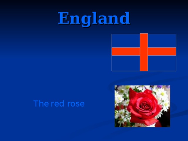 England The  red rose