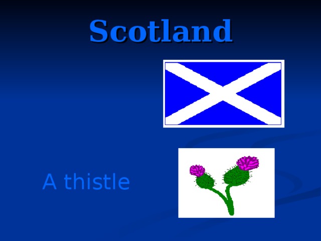 Scotland A thistle