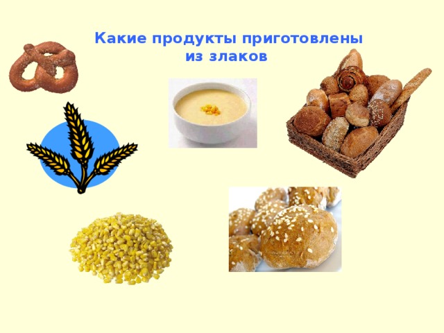 Какие продукты приготовлены из злаков