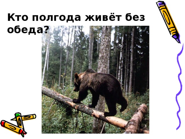 Кто полгода живёт без обеда?