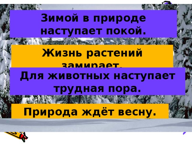 Зимой в природе наступает покой. Жизнь растений замирает. Для животных наступает трудная пора. Природа ждёт весну.