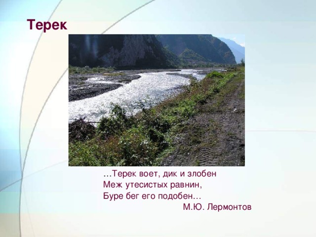 Терек … Терек воет, дик и злобен Меж утесистых равнин, Буре бег его подобен…  М.Ю. Лермонтов