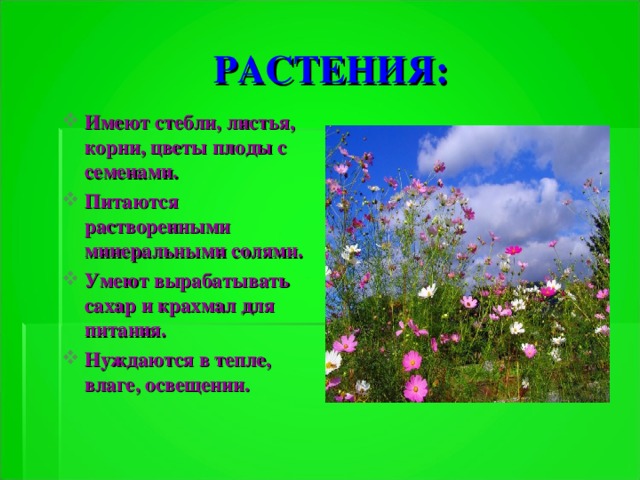 РАСТЕНИЯ: Имеют стебли, листья, корни, цветы плоды с семенами. Питаются растворенными минеральными солями. Умеют вырабатывать сахар и крахмал для питания. Нуждаются в тепле, влаге, освещении.