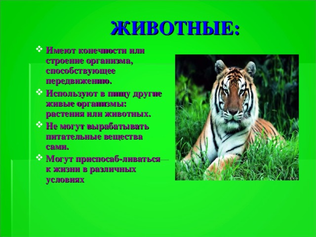 ЖИВОТНЫЕ: Имеют конечности или строение организма, способствующее передвижению. Используют в пищу другие живые организмы: растения или животных. Не могут вырабатывать питательные вещества сами. Могут приспосаб-ливаться к жизни в различных условиях