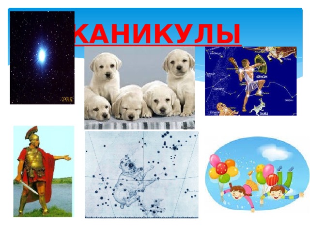 КАНИКУЛЫ