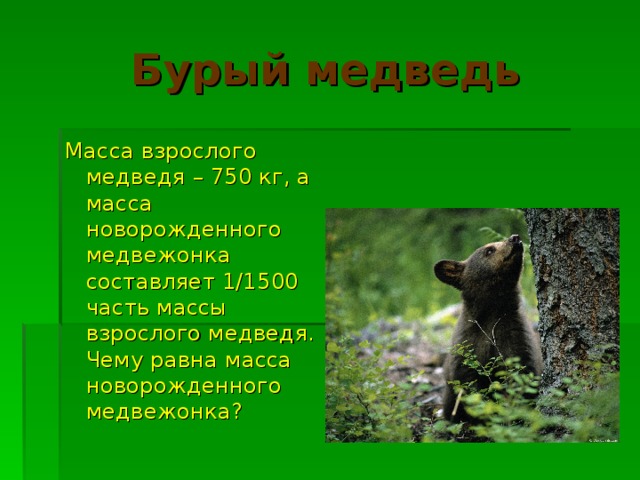 Бурый медведь Масса взрослого медведя – 750 кг, а масса новорожденного медвежонка составляет 1/1500 часть массы взрослого медведя. Чему равна масса новорожденного медвежонка?