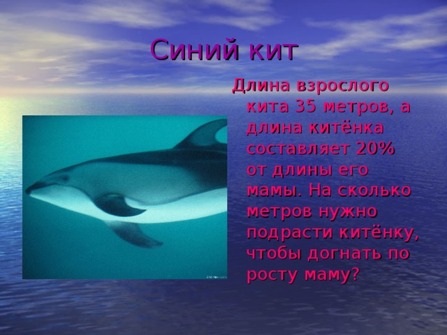 Синий кит Длина взрослого кита 35 метров, а длина китёнка составляет 20% от длины его мамы. На сколько метров нужно подрасти китёнку, чтобы догнать по росту маму?