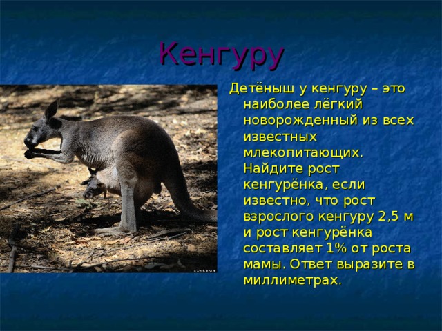 Кенгуру Детёныш у кенгуру – это наиболее лёгкий новорожденный из всех известных млекопитающих. Найдите рост кенгурёнка, если известно, что рост взрослого кенгуру 2,5 м и рост кенгурёнка составляет 1% от роста мамы. Ответ выразите в миллиметрах.