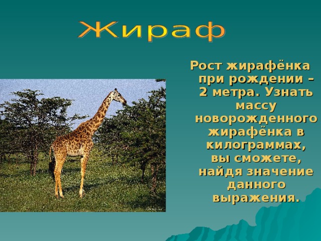 Рост жирафёнка при рождении – 2 метра. Узнать массу новорожденного жирафёнка в килограммах, вы сможете, найдя значение данного выражения.