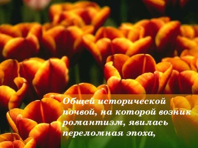 Общей исторической почвой, на которой возник романтизм, явилась переломная эпоха,