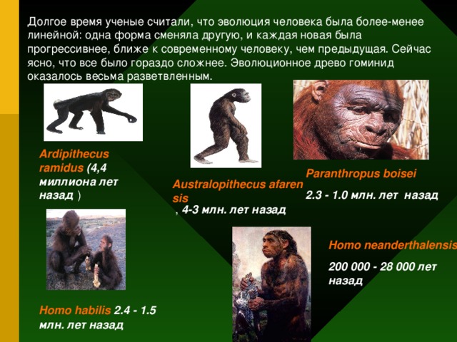 Долгое время ученые считали, что эволюция человека была более-менее линейной: одна форма сменяла другую, и каждая новая была прогрессивнее, ближе к современному человеку, чем предыдущая. Сейчас ясно, что все было гораздо сложнее. Эволюционное древо гоминид оказалось весьма разветвленным. Ardipithecus ramidus  (4,4 миллиона лет назад ) Paranthropus boisei  2.3 - 1.0 млн. лет  назад  Australopithecus afarensis , 4-3 млн. лет назад  Следуя формуле Факты – Действие – Выгода из рекомендаций Dale Carnegie Training®, покажите выгоду, которую получит аудитория в результате выполнения действия. Учитывайте ее интересы, потребности и предпочтения. Подкрепите свои рассуждения фактами (статистикой, демонстрацией, свидетельствами, примерами, аналогиями, доказательствами), и вы получите доверие аудитории. Homo neanderthalensis  200 000 - 28 000 лет назад  Homo habilis 2.4 - 1.5 млн. лет назад  14