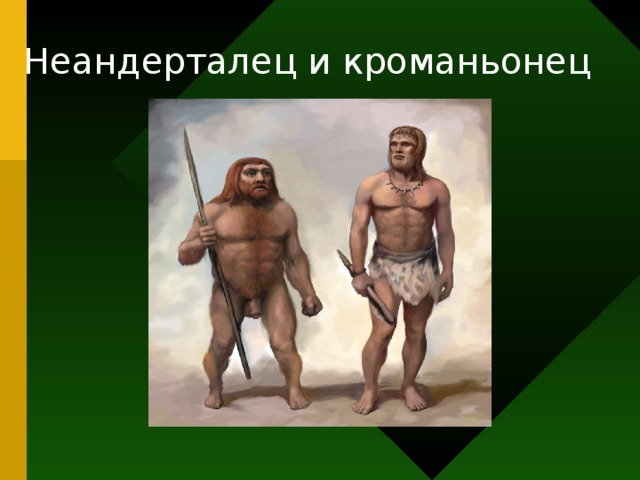 Неандерталец и кроманьонец Вытеснение неандертальцев Homo Sapiens (завершилось примерно 30-40 тысяч лет назад)