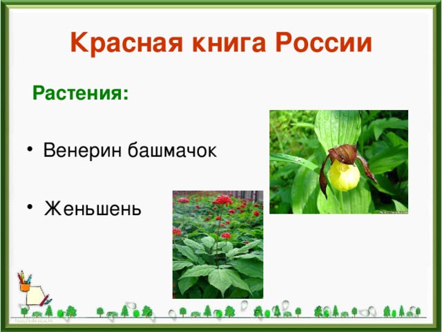 Красная книга России Растения: