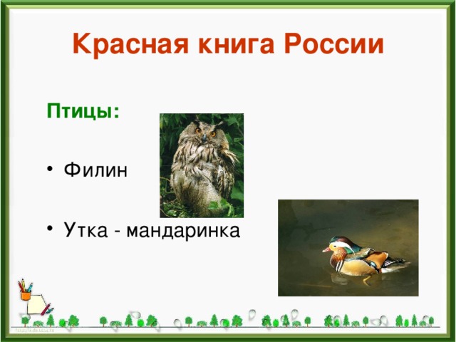 Красная книга России Птицы: