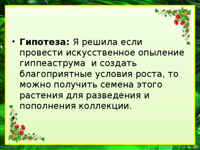 Гипотеза: Я решила если провести искусственное опыление гиппеаструма и создать благоприятные условия роста, то можно получить семена этого растения для разведения и пополнения коллекции.  