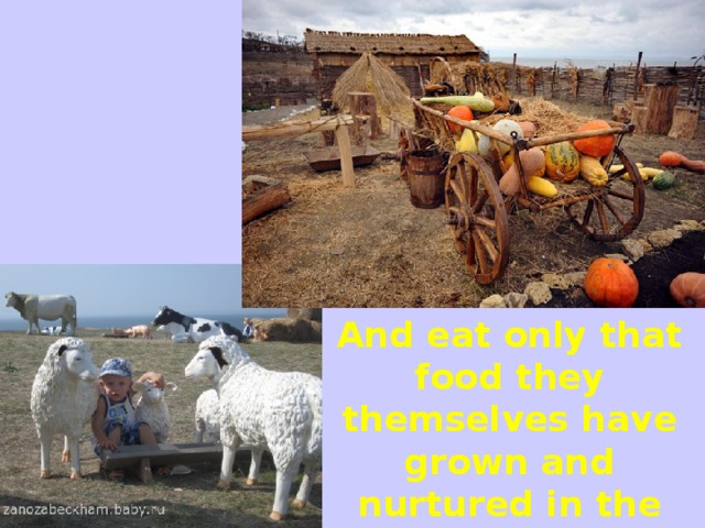 And eat only that food they themselves have grown and nurtured in the fields and farms