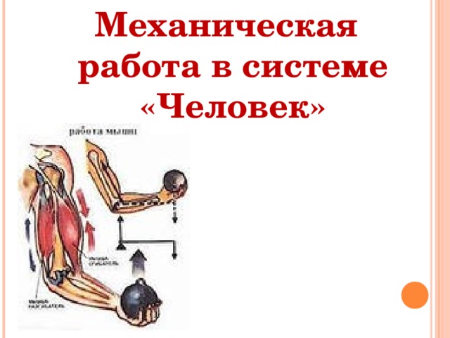 Механическая работа в системе «Человек»