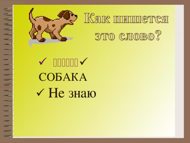  САБАКА  СОБАКА     Не знаю