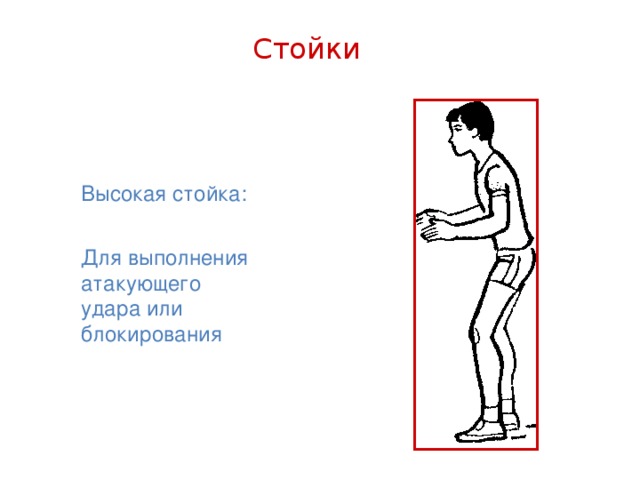 Стойки Высокая стойка: Для выполнения атакующего удара или блокирования