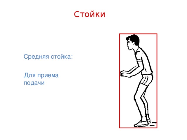 Стойки Средняя стойка: Для приема подачи