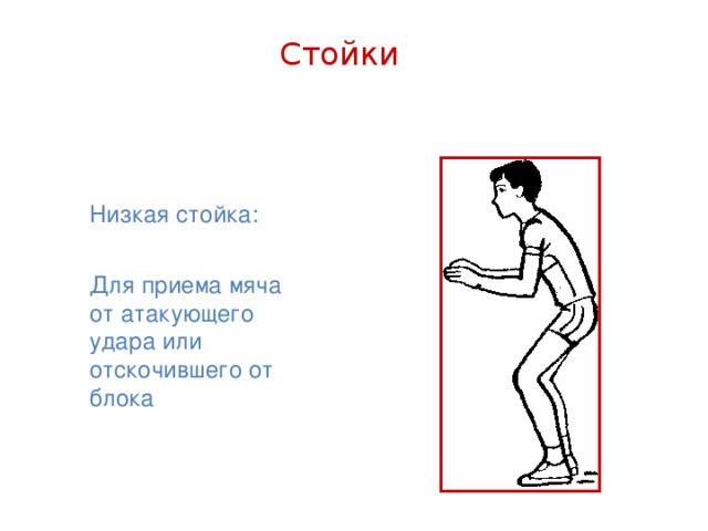 Стойки Низкая стойка: Для приема мяча от атакующего удара или отскочившего от блока
