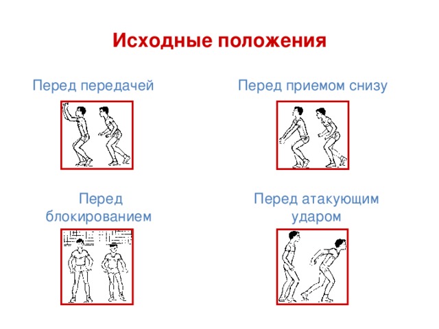 Исходные положения Перед передачей Перед приемом снизу Перед блокированием Перед атакующим ударом