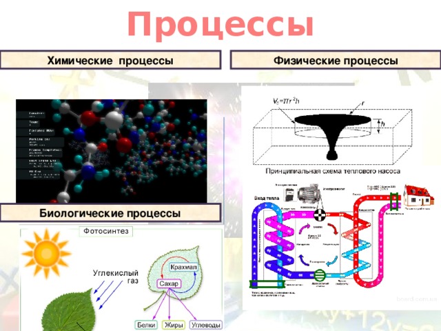 Процессы Физические процессы Химические процессы Биологические процессы