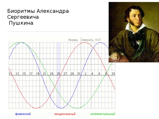 Биоритмы Александра Сергеевича  Пушкина