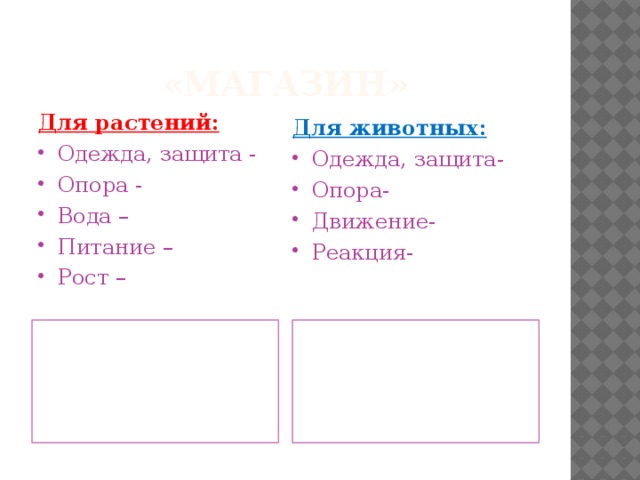 «Магазин» Для растений: Для животных: Одежда, защита - Опора - Вода – Питание – Рост – Одежда, защита- Опора- Движение- Реакция- образовательная, основная, механическая, покровная, проводящая покровная, соединительная, мышечная, нервная