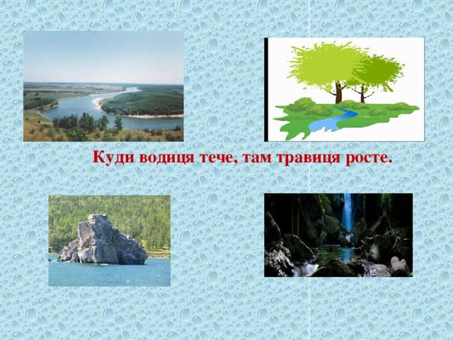 Куди водиця тече, там травиця росте.