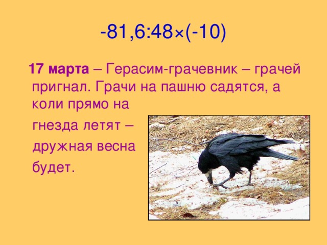 -81,6:48 × (-10)  17 марта – Герасим-грачевник – грачей пригнал. Грачи на пашню садятся, а коли прямо на  гнезда летят –  дружная весна  будет.