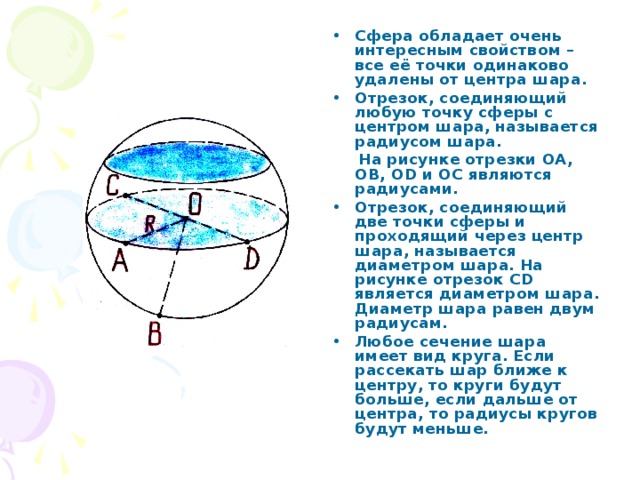 Сфера обладает очень интересным свойством – все её точки одинаково удалены от центра шара. Отрезок, соединяющий любую точку сферы с центром шара, называется радиусом шара.  На рисунке отрезки ОА, ОВ, О D и ОС являются радиусами. Отрезок, соединяющий две точки сферы и проходящий через центр шара, называется диаметром шара. На рисунке отрезок С D является диаметром шара. Диаметр шара равен двум радиусам. Любое сечение шара имеет вид круга. Если рассекать шар ближе к центру, то круги будут больше, если дальше от центра, то радиусы кругов будут меньше.