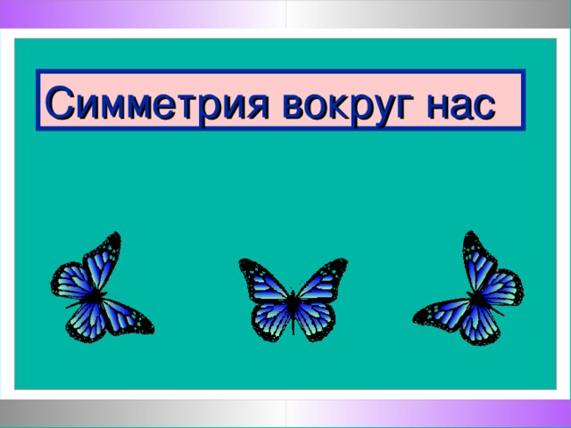 Мосина Ирина Георгиевна, Муниципальное общеобразовательное учреждение «Лицей № 6 имени З.Г. Серазетдиновой» города Оренбурга Симметрия вокруг нас