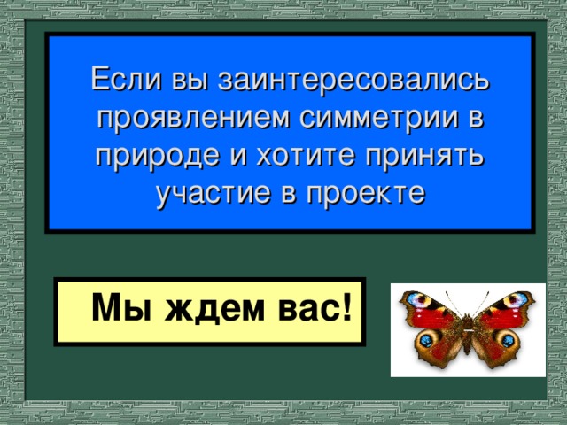 Если вы заинтересовались проявлением симметрии в природе и хотите принять участие в проекте Мы ждем вас!