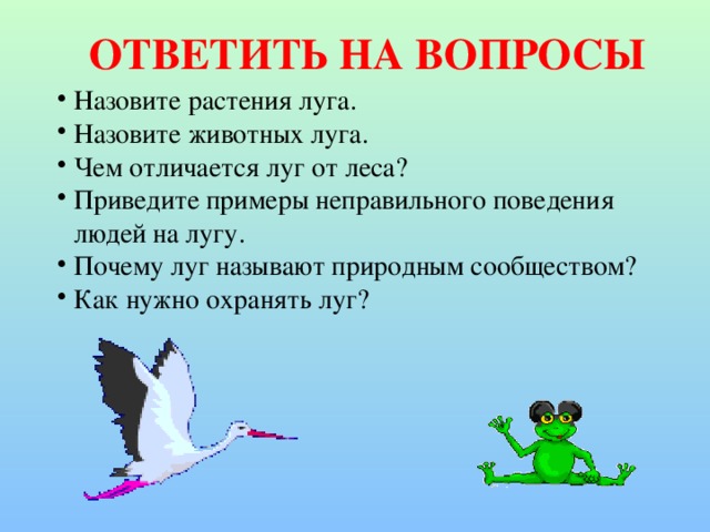 ОТВЕТИТЬ НА ВОПРОСЫ