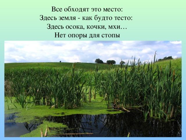 Все обходят это место: Здесь земля - как будто тесто: Здесь осока, кочки, мхи… Нет опоры для стопы