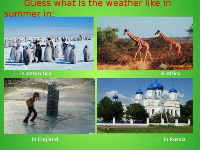Guess what is the weather like in summer in:  … in Antarctica … in Africa … in England … in Russia