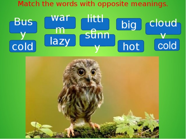 Match the words with opposite meanings. warm big little Busy cloudy lazy sunny cold hot cold