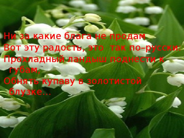 Ни за какие блага не продам Вот эту радость, это так по–русски: Прохладный ландыш поднести к губам, Обнять купаву в золотистой блузке…