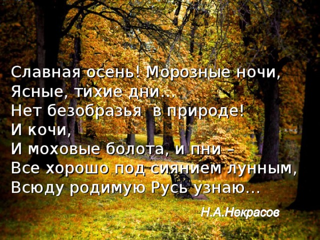 Славная осень! Морозные ночи,  Ясные, тихие дни…  Нет безобразья в природе!  И кочи,  И моховые болота, и пни –  Все хорошо под сиянием лунным,  Всюду родимую Русь узнаю…