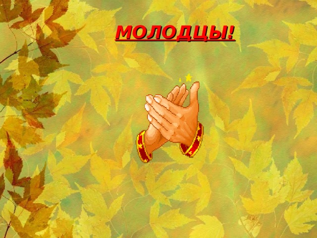 МОЛОДЦЫ!