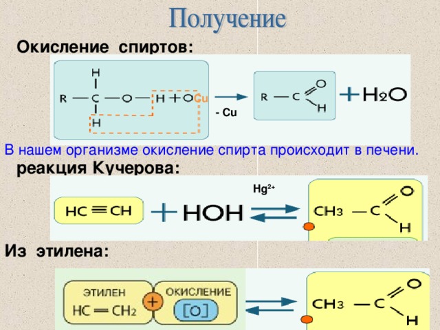 Окисление спиртов: Cu - Cu В нашем организме окисление спирта происходит в печени.  реакция Кучерова: Hg 2+ Из этилена: