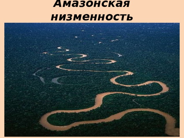 Амазонская низменность пересекает. Амазонская низменность.