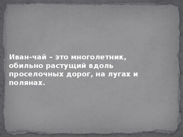 Иван-чай – это многолетник, обильно растущий вдоль проселочных дорог, на лугах и полянах.