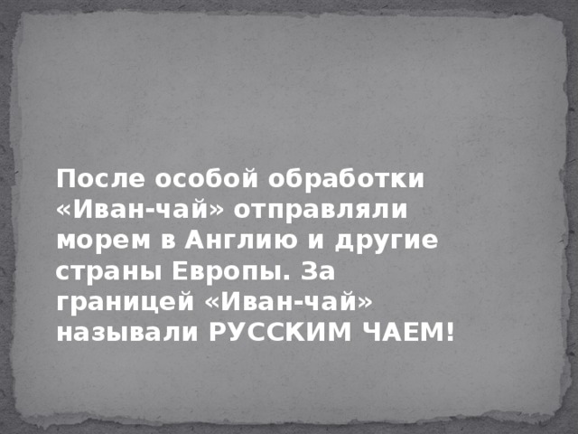 После особой обработки «Иван-чай» отправляли морем в Англию и другие страны Европы. За границей «Иван-чай» называли РУССКИМ ЧАЕМ! 