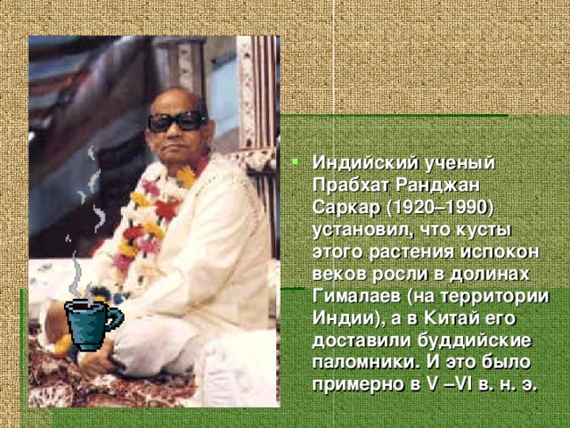 Индийский ученый Прабхат Ранджан Саркар (1920–1990) установил, что кусты этого растения испокон веков росли в долинах Гималаев (на территории Индии), а в Китай его доставили буддийские паломники. И это было примерно в V –VI в. н. э.