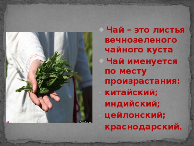 Чай – это листья вечнозеленого чайного куста Чай именуется по месту произрастания: китайский; индийский; цейлонский; краснодарский.