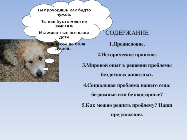 Ты проходишь как будто чужой, Ты как будто меня не заметил. Мы животные все ваши дети С одинокой до боли душой… СОДЕРЖАНИЕ Предисловие. Историческое прошлое. Мировой опыт в решении проблемы бездомных животных. Социальная проблема нашего села: бездомные или безнадзорные? Как можно решить проблему? Наши предложения.