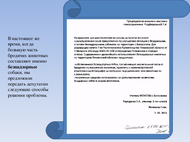 В настоящее же время, когда большую часть бродячих животных составляют именно безнадзорные собаки, мы предложили передать депутатам следующие способы решения проблемы.