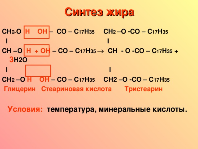 Синтез жира     СН 2- О Н ОН  – СО – С 17 Н 35 СН 2 – О -СО – С 17 Н 35  I  I  СН –О Н + ОН  – СО – С 17 Н 35  СН - О -СО – С 17 Н 35  +  3 Н2О  I  I СН 2 –О Н ОН  – СО – С 17 Н 35 СН2 – О -СО – С 17 Н 35   Глицерин Стеариновая кислота Тристеарин   Условия: температура, минеральные кислоты.